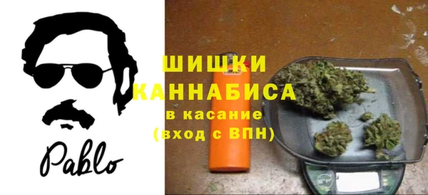 гидра Бородино