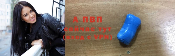 гидра Бородино