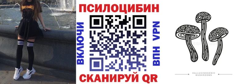 Псилоцибиновые грибы GOLDEN TEACHER  мега как зайти  мориарти клад  Тихвин 